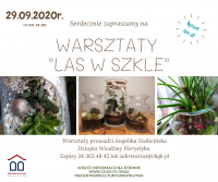 Las w szkle
