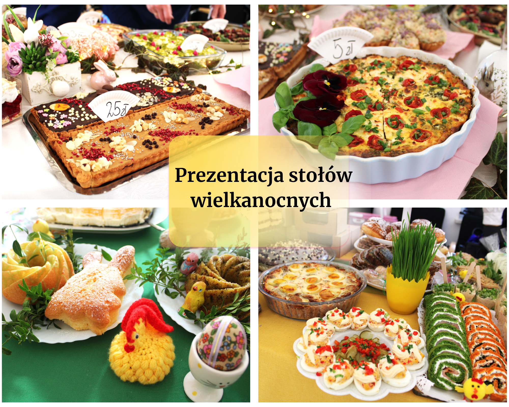 Miętowy Miłośnik Kotów Fotograficzny Kolaż 17